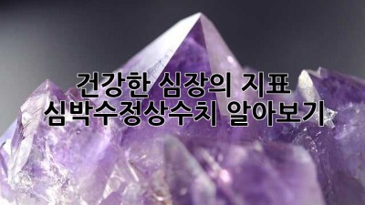 건강한 심장의 지표, 심박수정상수치 알아보기 🫀🩺